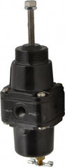 FRL Combination Unit: 1/4 NPT, Standard, 1 Pc Filter/Regulator with Pressure Gauge