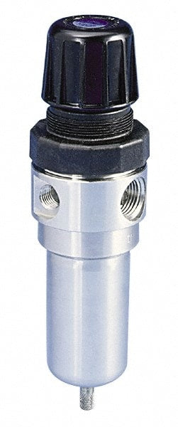 FRL Combination Unit: 1/2 NPT, 1 Pc Filter/Regulator