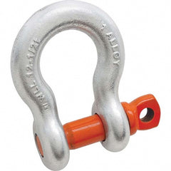 Anchor Shackle: Screw Pin