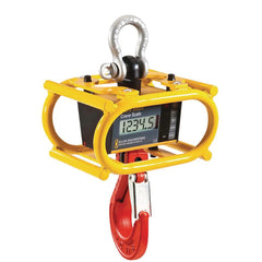 Crane Scales & Hanging Scales; Type: Crane Scale w/1" Display, Cage & IR Remote; Capacity (Lb.): 10000.00; Capacity (kg): 4535.9237; Display Type: 6 Digit LCD, 5 Digit LCD; Scale Type: Crane Scale