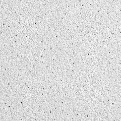 Ceiling Tiles; Color: White; Material: Wet-Formed Mineral Fiber; Length (Inch): 24; Width: 24; Grid Size (Inch): 15/16; Edge Type: Square; Texture: Fine; Noise Reduction Coefficient Rating: 0.50