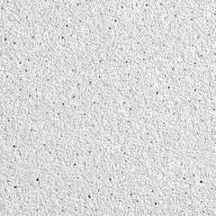 Ceiling Tiles; Color: White; Material: Wet-Formed Mineral Fiber; Length (Inch): 48; Width: 24; Grid Size (Inch): 15/16; Edge Type: Square; Texture: Fine; Noise Reduction Coefficient Rating: 0.50