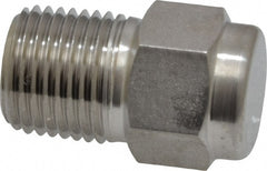 1/8" 316 Stainless Steel Pipe Plug