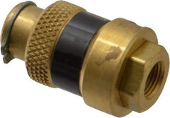 Coilhose Pneumatics - 1/8" Pipe, FNPT x FNPT, Brass Lockout Valve - 150 Max psi, Brass Sleeve - Caliber Tooling