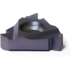 16 ER 8 NPT BMA THREADING INSERT - Caliber Tooling