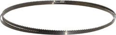 Disston - 6 TPI, 7' 9-1/2" Long x 1/4" Wide x 0.025" Thick, Welded Band Saw Blade - Carbon Steel, Toothed Edge, Raker Tooth Set, Flexible Back, Contour Cutting - Caliber Tooling