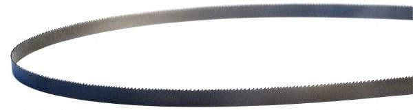 Lenox - 8 to 12 TPI, 7' 10" Long x 1/2" Wide x 0.025" Thick, Welded Band Saw Blade - M42, Bi-Metal, Toothed Edge - Caliber Tooling