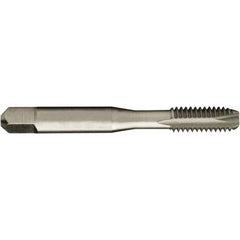 Greenfield Threading - #2-56 UNC 2B 2 Flute Bright Finish High Speed Steel Spiral Point Tap - Caliber Tooling