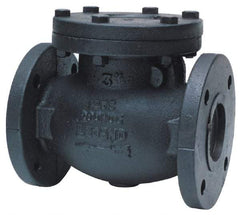 Legend Valve - 2-1/2" Cast Iron Check Valve - Inline, Flanged - Caliber Tooling