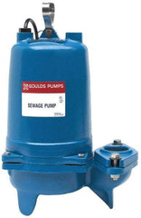 Goulds Pumps - 1/2 hp, 115 Amp Rating, 115 Volts, Nonautomatic Operation, Sewage Pump - 1 Phase, Cast Iron Housing - Caliber Tooling