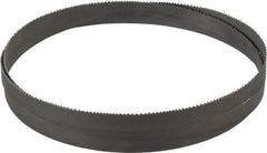 Irwin Blades - 10 to 14 TPI, 5' 4" Long x 1/2" Wide x 0.025" Thick, Welded Band Saw Blade - Bi-Metal, Toothed Edge - Caliber Tooling