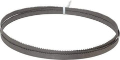 Irwin Blades - 6 to 10 TPI, 8' 2" Long x 1/2" Wide x 0.025" Thick, Welded Band Saw Blade - Bi-Metal, Toothed Edge - Caliber Tooling