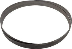 Starrett - 10 to 14 TPI, 12' Long x 1" Wide x 0.035" Thick, Welded Band Saw Blade - Bi-Metal, Toothed Edge, Raker Tooth Set, Contour Cutting - Caliber Tooling