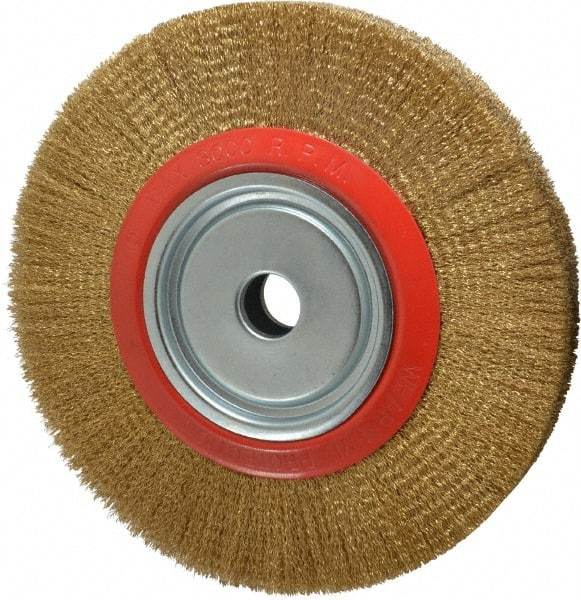 Value Collection - 12" OD, 1-1/4" Arbor Hole, Crimped Brass-Coated Steel Wheel Brush - 1-21/32" Face Width, 2-3/8" Trim Length, 0.012" Filament Diam, 3,000 RPM - Caliber Tooling