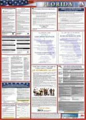 NMC - 24" Wide x 40" High Laminated Paper Labor Law Information Poster - Florida Jurisdiction, 0.03" Thick, Spanish - Caliber Tooling