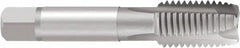 Spiral Point Tap: 1/4-20, UNC, 3 Flutes, Plug, 2B, Cobalt, Nitride Finish 0.669″ Thread Length, 2-1/2″ OAL, Right Hand, Series Rekord B