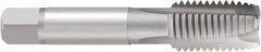 Emuge - 9/16-12 UNC, 3 Flute, Nitride Finish, Cobalt Spiral Point Tap - Plug Chamfer, Right Hand Thread, 3-19/32" OAL, 1.024" Thread Length, 0.429" Shank Diam, 2B Class of Fit, Series Rekord B - Exact Industrial Supply