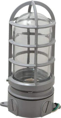 Cooper Crouse-Hinds - 120 Volt, 100 Watt, Incandescent Hazardous Location Light Fixture - Vaporproof, Corrosion & Heat Resistant, Aluminum Housing, 4-1/4" Wide x 8-7/8" High - Caliber Tooling