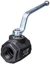 HYDAC - 1-1/4" Pipe, Carbon Steel Standard Ball Valve - 1 Piece, FNPT x FNPT Ends, Lever Handle, 5,000 WOG - Caliber Tooling