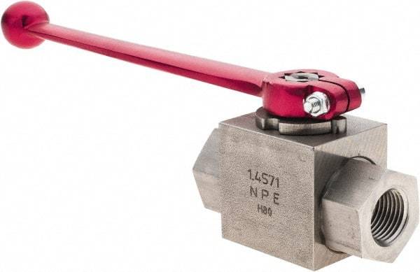 HYDAC - 1/2" Pipe, Stainless Steel Standard Ball Valve - 1 Piece, FNPT x FNPT Ends, Lever Handle, 5,800 WOG - Caliber Tooling