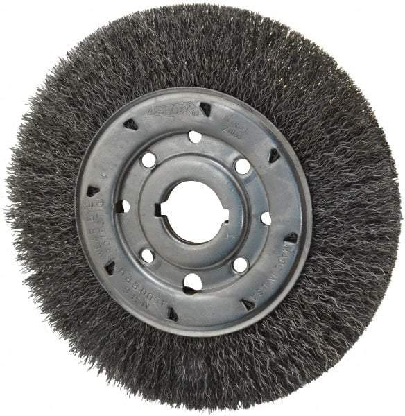 Osborn - 8" OD, 1-1/4" Arbor Hole, Crimped Steel Wheel Brush - 5/8" Face Width, 1-1/2" Trim Length, 0.014" Filament Diam, 4,500 RPM - Caliber Tooling