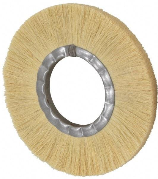 Osborn - 8" OD, 3-1/4" Arbor Hole, Crimped Natural Fiber Wheel Brush - 17/32" Face Width, 1-7/8" Trim Length, 4,800 RPM - Caliber Tooling