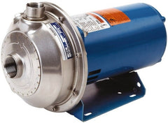 Goulds Pumps - 115/230 Volt 12.2/6.1 Amp 3/4 hp 1 Phase TEFC 316L Stainless Steel AC Straight Pump - Exact Industrial Supply