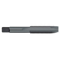 Titan USA - Spiral Point Taps; Thread Size (Inch): #0-80 ; Number of Flutes: 2 ; Chamfer: Plug ; Class of Fit: 2B/3B ; Thread Limit: H2 ; Finish/Coating: Steam Oxide - Exact Industrial Supply