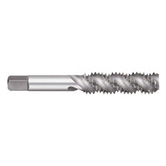 Titan USA - Spiral Flute Taps; Thread Size (Inch): 5/16-24 ; Chamfer: Semi-Bottoming ; Class of Fit: 2B/3B ; Thread Limit: H3 ; Number of Flutes: 3 ; Material: High Speed Steel - Exact Industrial Supply