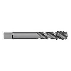 Titan USA - Spiral Flute Taps; Thread Size (mm): M6x1.00 ; Chamfer: Semi-Bottoming ; Class of Fit: 6H ; Thread Limit: D5 ; Number of Flutes: 3 ; Material: Powdered Metal - Exact Industrial Supply