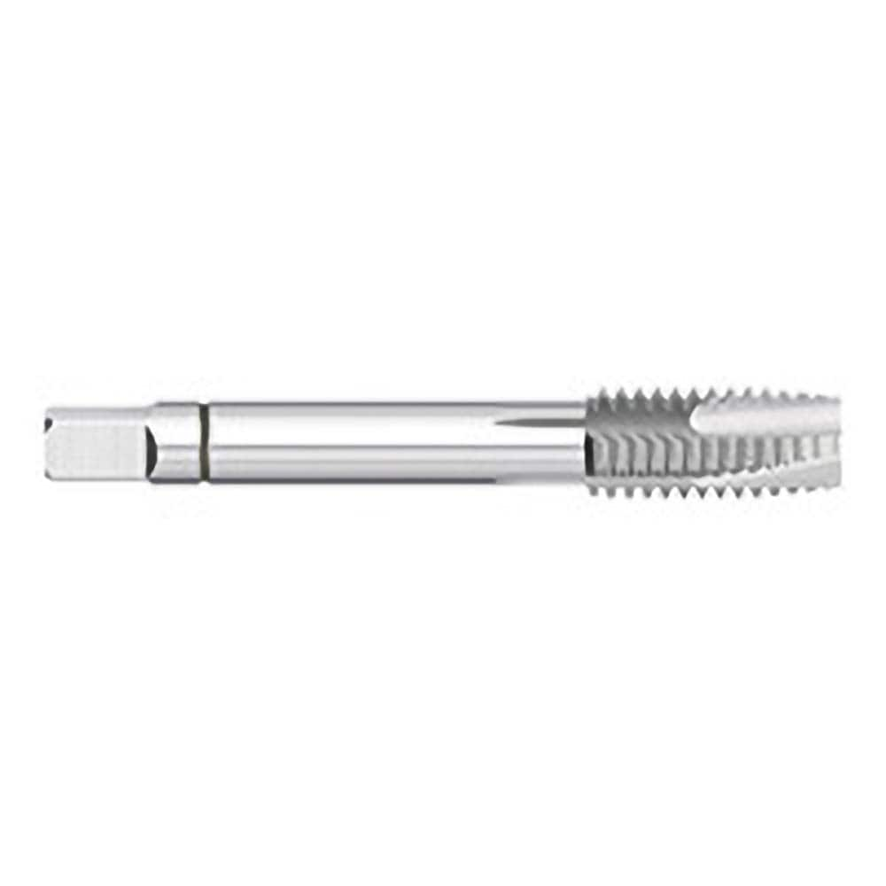 Spiral Point Tap: 5/16-24, UNF, 3 Flutes, Plug, 2B/3B, Powdered Metal, Uncoated 53/64″ Thread Length, 2-23/32″ OAL, Right Hand, H3, Series 772