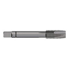 Spiral Point Tap: 5/16-18, UNC, 3 Flutes, Plug, 2B/3B, Powdered Metal, Steam Oxide Finish 53/64″ Thread Length, 2-23/32″ OAL, Right Hand, H3, Series 771