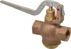 Kingston - 1/2" Pipe, 400 Max psi, Buna N Disc, Self Closing Control Valve - Squeeze Lever, FNPT x FNPT End Connections - Caliber Tooling