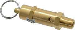 Kingston - 1/4" Inlet, ASME Safety Relief Valve - 50 Max psi, Brass - Caliber Tooling