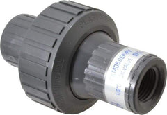 Plast-O-Matic - 1/2" PVC Check Valve - Inline, FNPT x FNPT, 150 WOG - Caliber Tooling