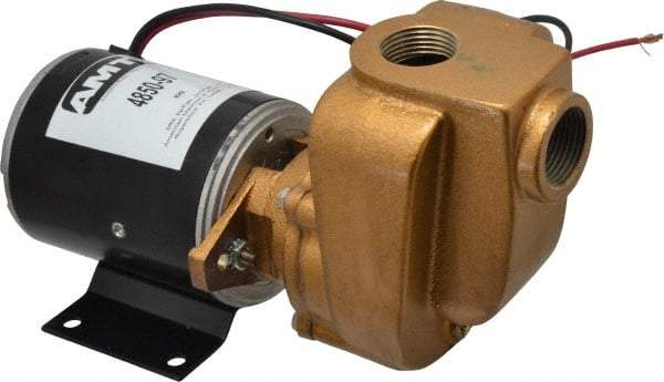 American Machine & Tool - 12 Volt, 1/8 hp, 3/4 Inlet, Bronze Utility Pump - 14 Max Head Pressure, 3/4 Inch Outlet - Caliber Tooling