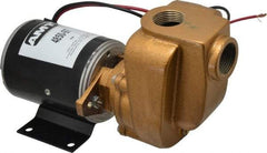 American Machine & Tool - 12 Volt, 1/8 hp, 3/4 Inlet, Bronze Utility Pump - 14 Max Head Pressure, 3/4 Inch Outlet - Caliber Tooling