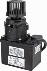 Little Giant Pumps - 1/35 HP, 12.8 Shut Off Feet, Magnetic Drive Pump - 1 Phase, 60 Hz - Caliber Tooling