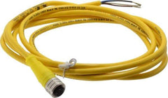 Brad Harrison - 4 Amp, M12 Female Straight to Pigtail Cordset Sensor and Receptacle - 250 VAC/VDC, 2m Cable Length, IP67 Ingress Rating - Caliber Tooling