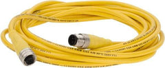 Brad Harrison - 4 Amp, M12 Male Straight to Female Straight Cordset Sensor and Receptacle - 250 VAC/VDC, 4m Cable Length, IP67 Ingress Rating - Caliber Tooling