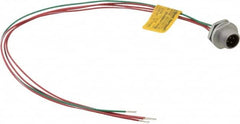 Brad Harrison - 4 Amp, 1/2-20 UNF Male Straight Receptacle - 250 VAC/VDC, 0.31m Cable Length, IP67 Ingress Rating - Caliber Tooling