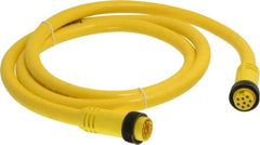 Brad Harrison - 7 Amp, Female Straight, Male Straight Cordset Sensor and Receptacle - 600 Volt, 1.83m Cable Length, IP67 Ingress Rating - Caliber Tooling