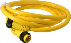 Brad Harrison - 10 Amp, Female Straight, Male Straight Cordset Sensor and Receptacle - 600 Volt, 1.83m Cable Length, IP67 Ingress Rating - Caliber Tooling