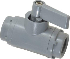 Specialty Mfr - 1/4" Pipe, PVC Standard Ball Valve - Inline - Two Way Flow, FNPT x FNPT Ends, Wedge Handle, 125 WOG - Caliber Tooling