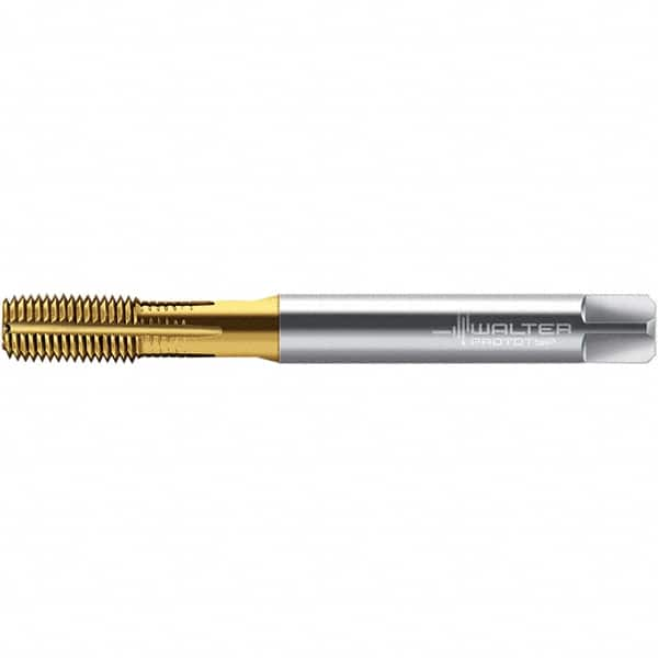 Walter-Prototyp - M6x1.00 DIN 2174 6HX 5.590 Thread Limit Semi-Bottoming Thread Forming Tap - Powdered Metal High Speed Steel, TiN Finish, 80mm OAL, 10mm Thread Length, Right Hand Thread, Series TC420 - Caliber Tooling