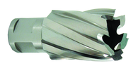 25MMX25MM 12000 SERIES CUTTER - Caliber Tooling