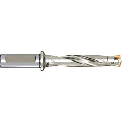 Replaceable Tip Drill: 0.5511 to 0.5669'' Drill Dia, 1.7187″ Max Depth Seat Size 0.2160, Through Coolant