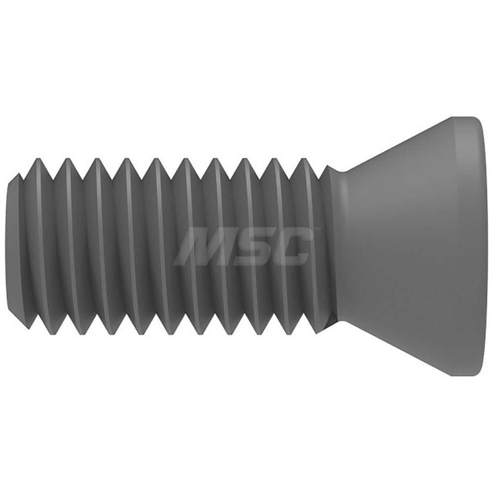 Lock Screw for Indexables: 20IP, Torx Plus Drive, M5.5 Thread