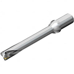 Sandvik Coromant - Indexable Insert Drills Drill Style: DS20 Drill Diameter (mm): 32.00 - Caliber Tooling