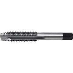 Cle-Line - #2-56 UNC2-Flute Bright Finish High Speed Steel Spiral Point Tap - Exact Industrial Supply